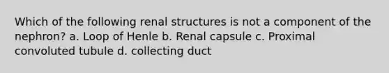 Which of the following renal structures is not a component of the nephron? a. Loop of Henle b. Renal capsule c. Proximal convoluted tubule d. collecting duct