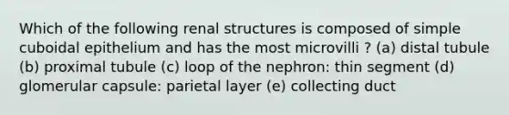 Which of the following renal structures is composed of simple cuboidal epithelium and has the most microvilli ? (a) distal tubule (b) proximal tubule (c) loop of the nephron: thin segment (d) glomerular capsule: parietal layer (e) collecting duct