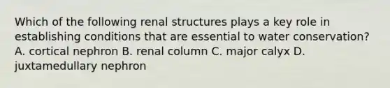 Which of the following renal structures plays a key role in establishing conditions that are essential to water conservation? A. cortical nephron B. renal column C. major calyx D. juxtamedullary nephron