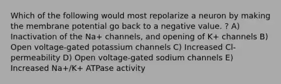 Which of the following would most repolarize a neuron by making the membrane potential go back to a negative value. ? A) Inactivation of the Na+ channels, and opening of K+ channels B) Open voltage-gated potassium channels C) Increased Cl- permeability D) Open voltage-gated sodium channels E) Increased Na+/K+ ATPase activity