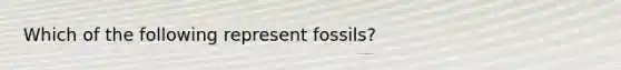 Which of the following represent fossils?