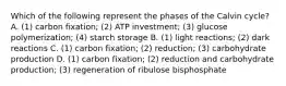 Which of the following represent the phases of the Calvin cycle? A. (1) carbon fixation; (2) ATP investment; (3) glucose polymerization; (4) starch storage B. (1) light reactions; (2) dark reactions C. (1) carbon fixation; (2) reduction; (3) carbohydrate production D. (1) carbon fixation; (2) reduction and carbohydrate production; (3) regeneration of ribulose bisphosphate