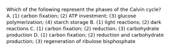 Which of the following represent the phases of the Calvin cycle? A. (1) carbon fixation; (2) ATP investment; (3) glucose polymerization; (4) starch storage B. (1) light reactions; (2) dark reactions C. (1) carbon fixation; (2) reduction; (3) carbohydrate production D. (1) carbon fixation; (2) reduction and carbohydrate production; (3) regeneration of ribulose bisphosphate