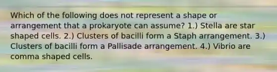 Which of the following does not represent a shape or arrangement that a prokaryote can assume? 1.) Stella are star shaped cells. 2.) Clusters of bacilli form a Staph arrangement. 3.) Clusters of bacilli form a Pallisade arrangement. 4.) Vibrio are comma shaped cells.