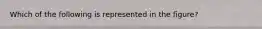 Which of the following is represented in the figure?
