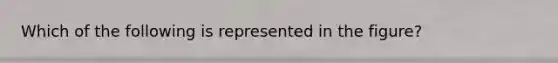 Which of the following is represented in the figure?