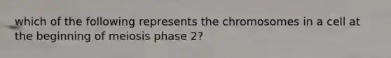 which of the following represents the chromosomes in a cell at the beginning of meiosis phase 2?