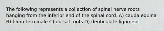 The following represents a collection of spinal nerve roots hanging from the inferior end of <a href='https://www.questionai.com/knowledge/kkAfzcJHuZ-the-spinal-cord' class='anchor-knowledge'>the spinal cord</a>. A) cauda equina B) filum terminale C) dorsal roots D) denticulate ligament