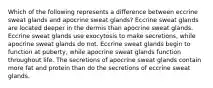 Which of the following represents a difference between eccrine sweat glands and apocrine sweat glands? Eccrine sweat glands are located deeper in the dermis than apocrine sweat glands. Eccrine sweat glands use exocytosis to make secretions, while apocrine sweat glands do not. Eccrine sweat glands begin to function at puberty, while apocrine sweat glands function throughout life. The secretions of apocrine sweat glands contain more fat and protein than do the secretions of eccrine sweat glands.