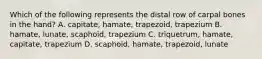 Which of the following represents the distal row of carpal bones in the hand? A. capitate, hamate, trapezoid, trapezium B. hamate, lunate, scaphoid, trapezium C. triquetrum, hamate, capitate, trapezium D. scaphoid, hamate, trapezoid, lunate