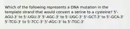 Which of the following represents a DNA mutation in the template strand that would convert a serine to a cysteine? 5'-AGU-3' to 5'-UGU-3' 5'-AGC-3' to 5'-UGC-3' 5'-GCT-3' to 5'-GCA-3' 5'-TCG-3' to 5'-TCC-3' 5'-AGC-3' to 5'-TGC-3'