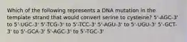 Which of the following represents a DNA mutation in the template strand that would convert serine to cysteine? 5'-AGC-3' to 5'-UGC-3' 5'-TCG-3' to 5'-TCC-3' 5'-AGU-3' to 5'-UGU-3' 5'-GCT-3' to 5'-GCA-3' 5'-AGC-3' to 5'-TGC-3'