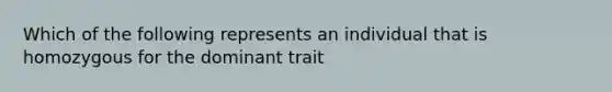 Which of the following represents an individual that is homozygous for the dominant trait