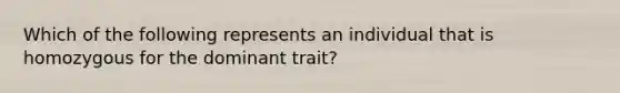 Which of the following represents an individual that is homozygous for the dominant trait?