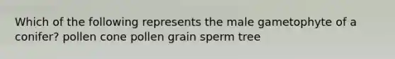 Which of the following represents the male gametophyte of a conifer? pollen cone pollen grain sperm tree