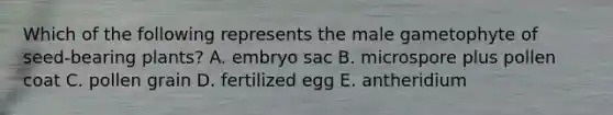 Which of the following represents the male gametophyte of seed-bearing plants? A. embryo sac B. microspore plus pollen coat C. pollen grain D. fertilized egg E. antheridium