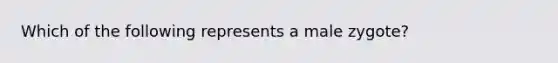 Which of the following represents a male zygote?
