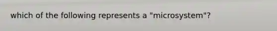 which of the following represents a "microsystem"?