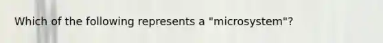 Which of the following represents a "microsystem"?