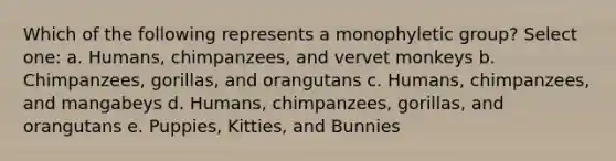 Which of the following represents a monophyletic group? Select one: a. Humans, chimpanzees, and vervet monkeys b. Chimpanzees, gorillas, and orangutans c. Humans, chimpanzees, and mangabeys d. Humans, chimpanzees, gorillas, and orangutans e. Puppies, Kitties, and Bunnies