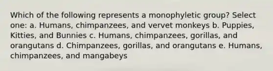 Which of the following represents a monophyletic group? Select one: a. Humans, chimpanzees, and vervet monkeys b. Puppies, Kitties, and Bunnies c. Humans, chimpanzees, gorillas, and orangutans d. Chimpanzees, gorillas, and orangutans e. Humans, chimpanzees, and mangabeys