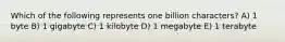 Which of the following represents one billion characters? A) 1 byte B) 1 gigabyte C) 1 kilobyte D) 1 megabyte E) 1 terabyte