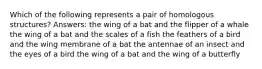 Which of the following represents a pair of homologous structures? Answers: the wing of a bat and the flipper of a whale the wing of a bat and the scales of a fish the feathers of a bird and the wing membrane of a bat the antennae of an insect and the eyes of a bird the wing of a bat and the wing of a butterfly