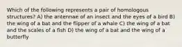 Which of the following represents a pair of homologous structures? A) the antennae of an insect and the eyes of a bird B) the wing of a bat and the flipper of a whale C) the wing of a bat and the scales of a fish D) the wing of a bat and the wing of a butterfly