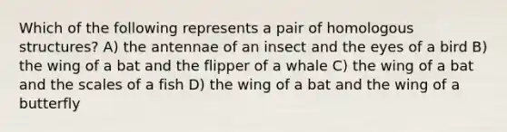 Which of the following represents a pair of homologous structures? A) the antennae of an insect and the eyes of a bird B) the wing of a bat and the flipper of a whale C) the wing of a bat and the scales of a fish D) the wing of a bat and the wing of a butterfly