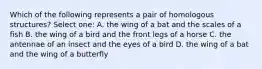 Which of the following represents a pair of homologous structures? Select one: A. the wing of a bat and the scales of a fish B. the wing of a bird and the front legs of a horse C. the antennae of an insect and the eyes of a bird D. the wing of a bat and the wing of a butterfly