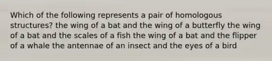 Which of the following represents a pair of homologous structures? the wing of a bat and the wing of a butterfly the wing of a bat and the scales of a fish the wing of a bat and the flipper of a whale the antennae of an insect and the eyes of a bird