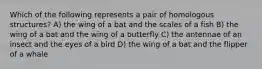 Which of the following represents a pair of homologous structures? A) the wing of a bat and the scales of a fish B) the wing of a bat and the wing of a butterfly C) the antennae of an insect and the eyes of a bird D) the wing of a bat and the flipper of a whale