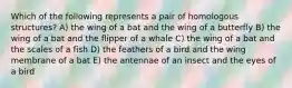 Which of the following represents a pair of homologous structures? A) the wing of a bat and the wing of a butterfly B) the wing of a bat and the flipper of a whale C) the wing of a bat and the scales of a fish D) the feathers of a bird and the wing membrane of a bat E) the antennae of an insect and the eyes of a bird