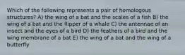 Which of the following represents a pair of homologous structures? A) the wing of a bat and the scales of a fish B) the wing of a bat and the flipper of a whale C) the antennae of an insect and the eyes of a bird D) the feathers of a bird and the wing membrane of a bat E) the wing of a bat and the wing of a butterfly