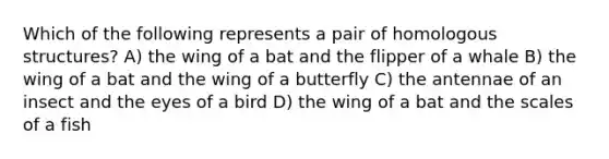 Which of the following represents a pair of homologous structures? A) the wing of a bat and the flipper of a whale B) the wing of a bat and the wing of a butterfly C) the antennae of an insect and the eyes of a bird D) the wing of a bat and the scales of a fish