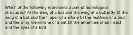 Which of the following represents a pair of homologous structures? A) the wing of a bat and the wing of a butterfly B) the wing of a bat and the flipper of a whale C) the feathers of a bird and the wing membrane of a bat D) the antennae of an insect and the eyes of a bird