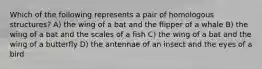 Which of the following represents a pair of homologous structures? A) the wing of a bat and the flipper of a whale B) the wing of a bat and the scales of a fish C) the wing of a bat and the wing of a butterfly D) the antennae of an insect and the eyes of a bird