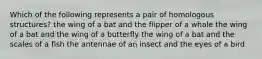 Which of the following represents a pair of homologous structures? the wing of a bat and the flipper of a whale the wing of a bat and the wing of a butterfly the wing of a bat and the scales of a fish the antennae of an insect and the eyes of a bird