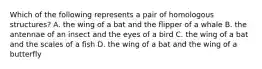 Which of the following represents a pair of homologous structures? A. the wing of a bat and the flipper of a whale B. the antennae of an insect and the eyes of a bird C. the wing of a bat and the scales of a fish D. the wing of a bat and the wing of a butterfly