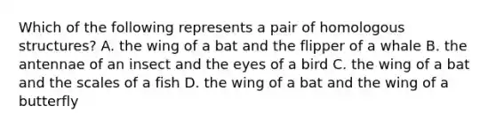 Which of the following represents a pair of homologous structures? A. the wing of a bat and the flipper of a whale B. the antennae of an insect and the eyes of a bird C. the wing of a bat and the scales of a fish D. the wing of a bat and the wing of a butterfly