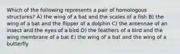 Which of the following represents a pair of homologous structures? A) the wing of a bat and the scales of a fish B) the wing of a bat and the flipper of a dolphin C) the antennae of an insect and the eyes of a bird D) the feathers of a bird and the wing membrane of a bat E) the wing of a bat and the wing of a butterfly