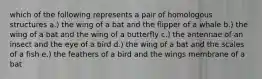 which of the following represents a pair of homologous structures a.) the wing of a bat and the flipper of a whale b.) the wing of a bat and the wing of a butterfly c.) the antennae of an insect and the eye of a bird d.) the wing of a bat and the scales of a fish e.) the feathers of a bird and the wings membrane of a bat