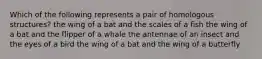 Which of the following represents a pair of homologous structures? the wing of a bat and the scales of a fish the wing of a bat and the flipper of a whale the antennae of an insect and the eyes of a bird the wing of a bat and the wing of a butterfly