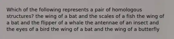 Which of the following represents a pair of homologous structures? the wing of a bat and the scales of a fish the wing of a bat and the flipper of a whale the antennae of an insect and the eyes of a bird the wing of a bat and the wing of a butterfly