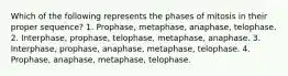 Which of the following represents the phases of mitosis in their proper sequence? 1. Prophase, metaphase, anaphase, telophase. 2. Interphase, prophase, telophase, metaphase, anaphase. 3. Interphase, prophase, anaphase, metaphase, telophase. 4. Prophase, anaphase, metaphase, telophase.