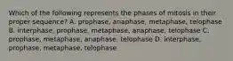 Which of the following represents the phases of mitosis in their proper sequence? A. prophase, anaphase, metaphase, telophase B. interphase, prophase, metaphase, anaphase, telophase C. prophase, metaphase, anaphase, telophase D. interphase, prophase, metaphase, telophase