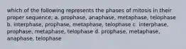 which of the following represents the phases of mitosis in their proper sequence; a. prophase, anaphase, metaphase, telophase b. interphase, prophase, metaphase, telophase c. interphase, prophase, metaphase, telophase d. prophase, metaphase, anaphase, telophase