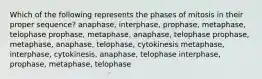 Which of the following represents the phases of mitosis in their proper sequence? anaphase, interphase, prophase, metaphase, telophase prophase, metaphase, anaphase, telophase prophase, metaphase, anaphase, telophase, cytokinesis metaphase, interphase, cytokinesis, anaphase, telophase interphase, prophase, metaphase, telophase