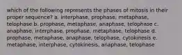 which of the following represents the phases of mitosis in their proper sequence? a. interphase, prophase, metaphase, telophase b. prophase, metaphase, anaphase, telophase c. anaphase, interphase, prophase, metaphase, telophase d. prophase, metaphase, anaphase, telophase, cytokinesis e. metaphase, interphase, cytokinesis, anaphase, telophase