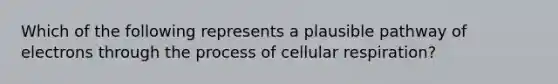 Which of the following represents a plausible pathway of electrons through the process of cellular respiration?